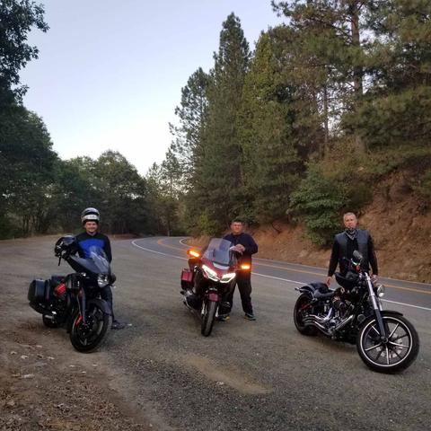 Three motorcycles with riders stopped beside a wooded road.