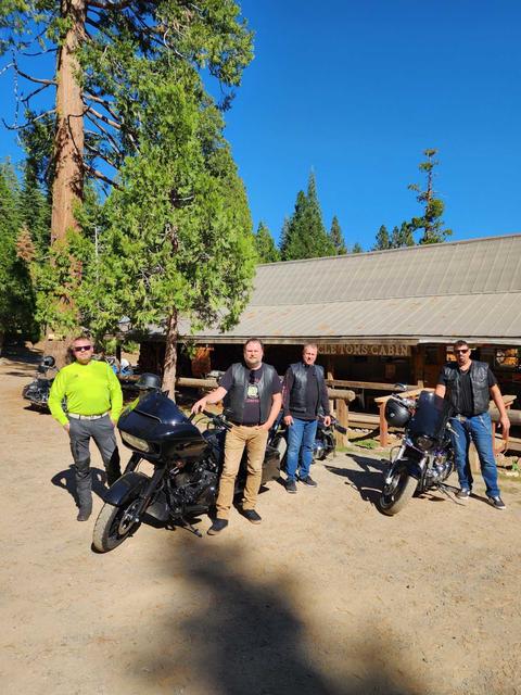 People and motorcycles outside a building beneath pine trees.