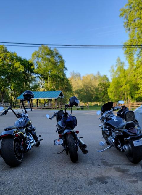 Three motorcycles beneath trees near a shaded porch.