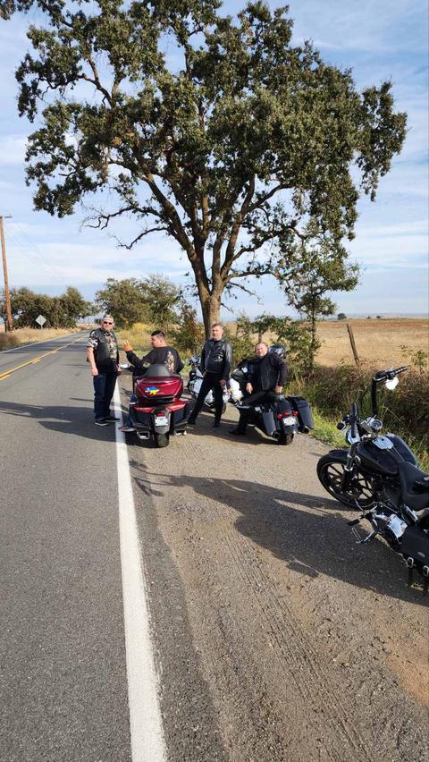 People taking a break beside motorcycles beneath a leafy tree.
