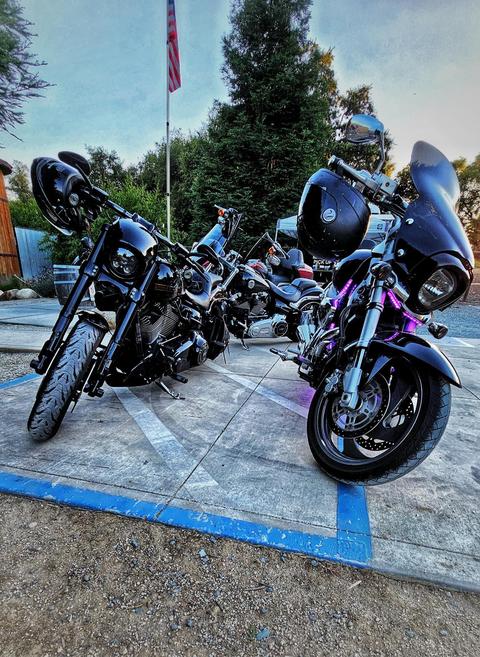 Two motorcycles parked beneath trees beside a curb.