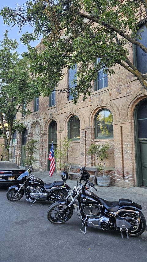 Motorcycles parked beside a tree and a brick building.