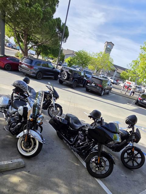 Several motorcycles parked along a tree-lined street.